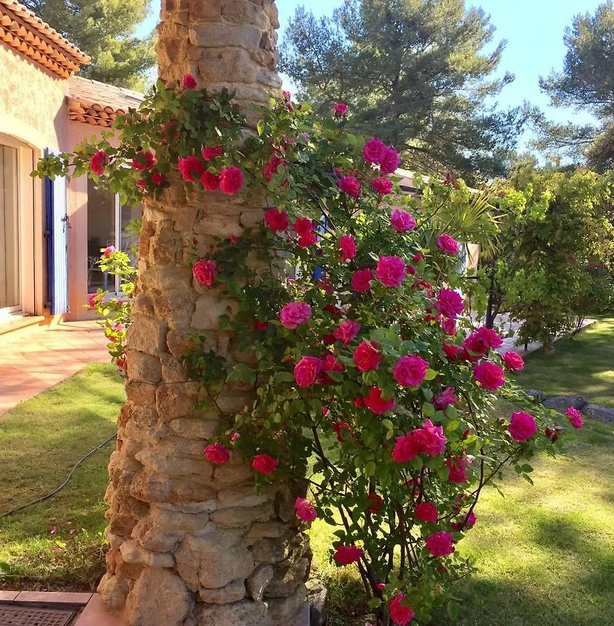 Holiday home Mas La Pinede Villa Saint-Marc-Jaumegarde